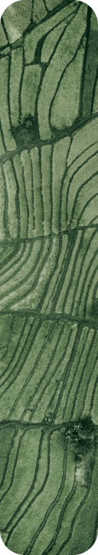 SRL - Background Image