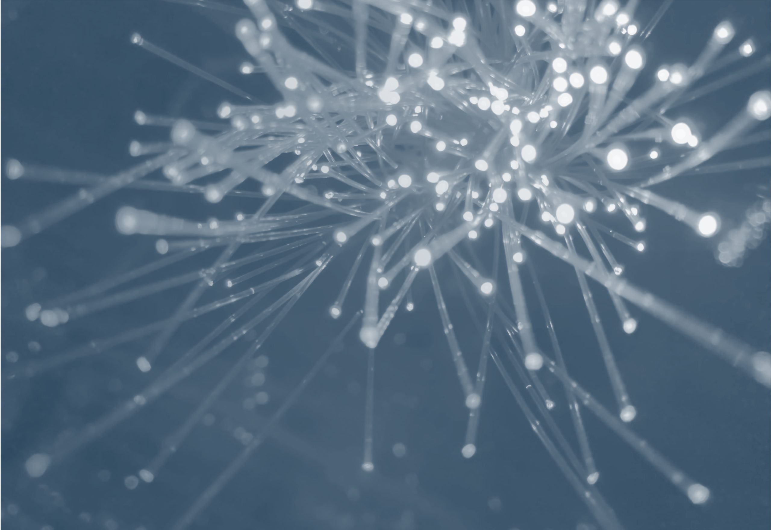 Spiceroute Legal - Background Image