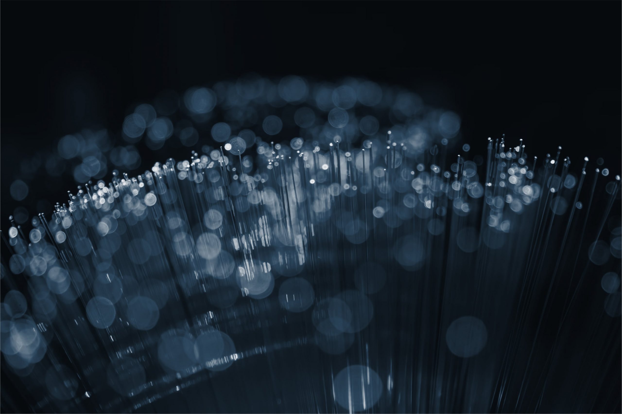 Light blue in dew-shaped patterns indicating Spice Route Legal's work in technology legal services, especially HR-tech