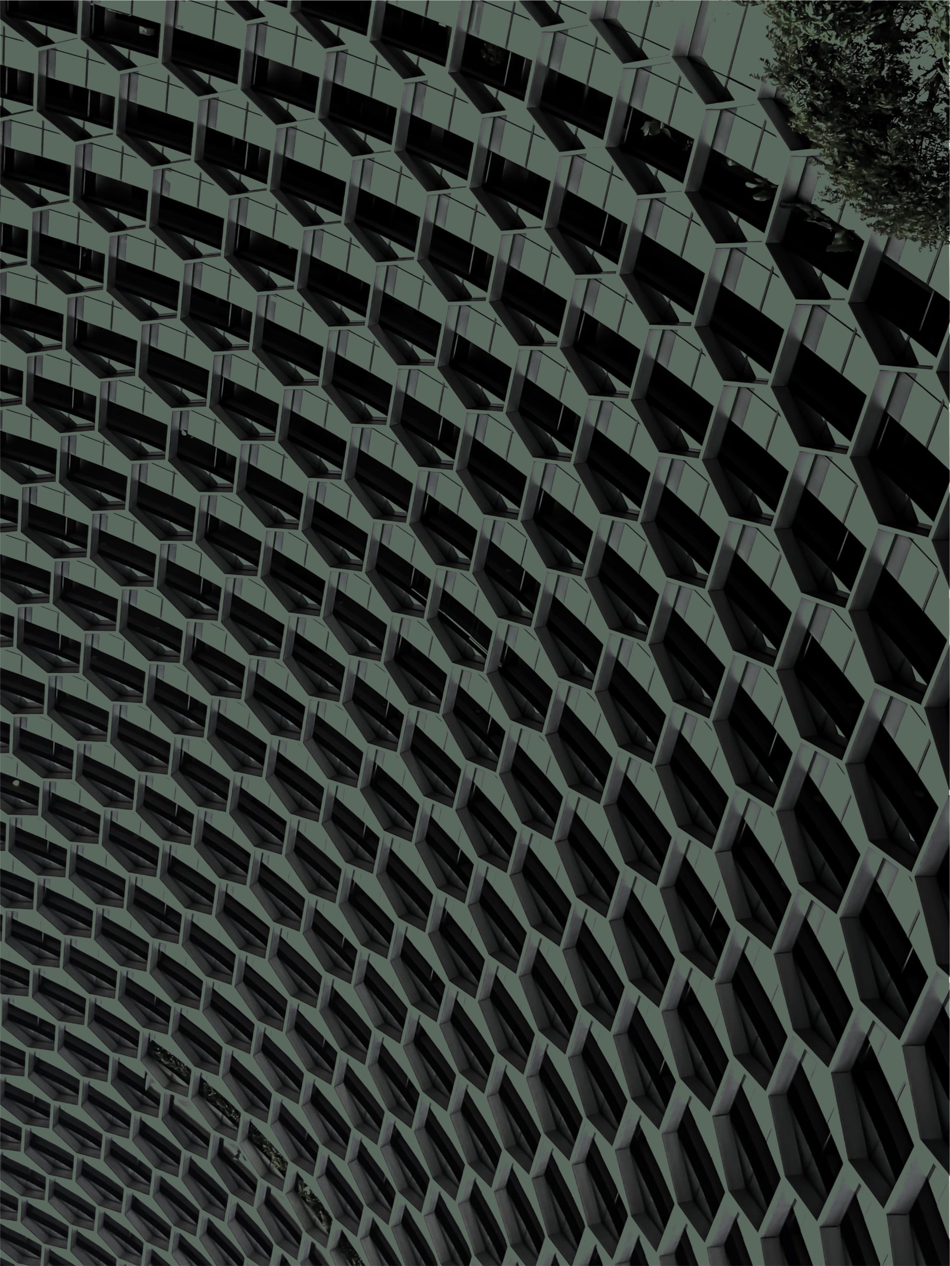 Spiceroute Legal - Background