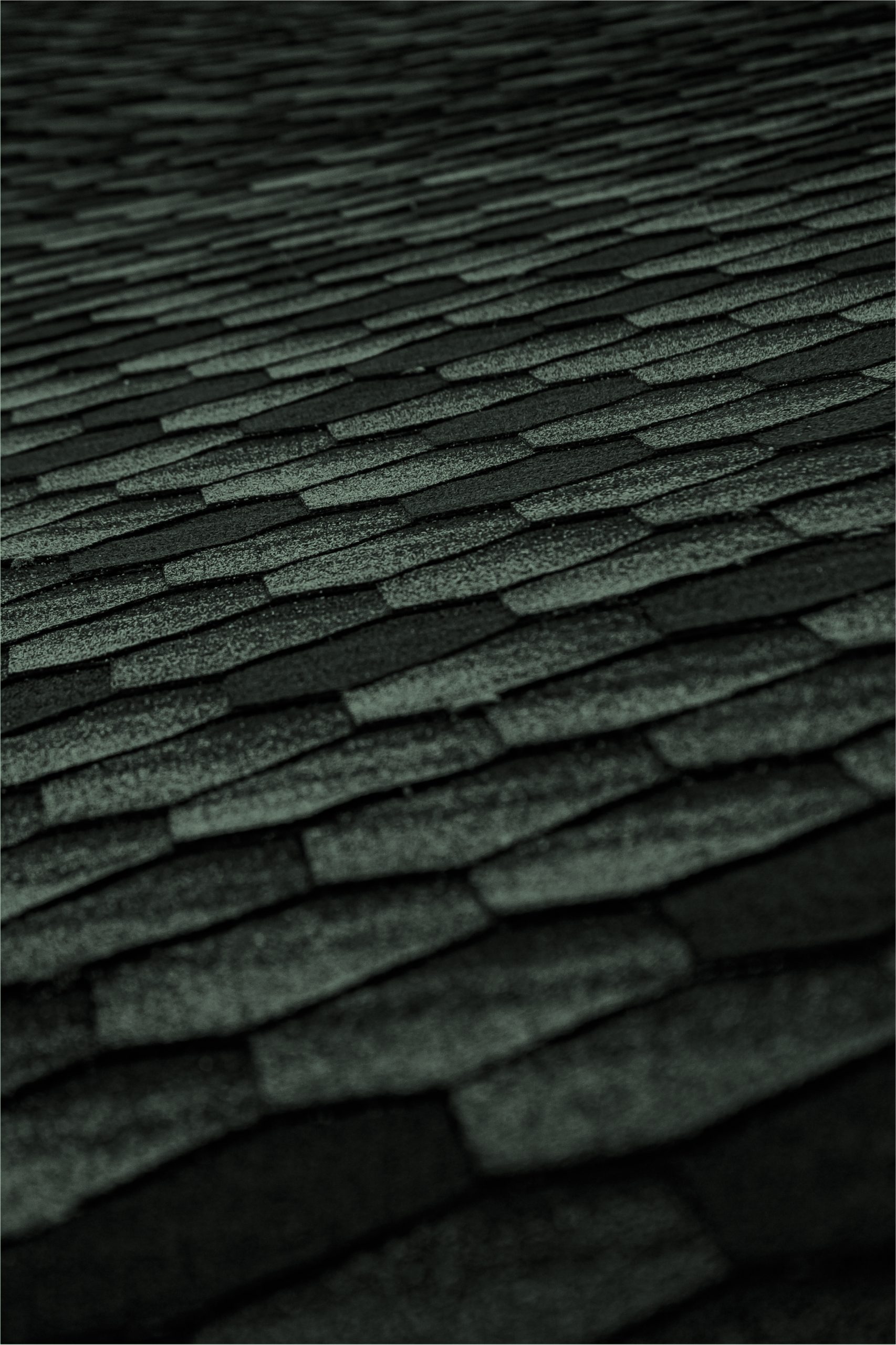 Spiceroute Legal - Background