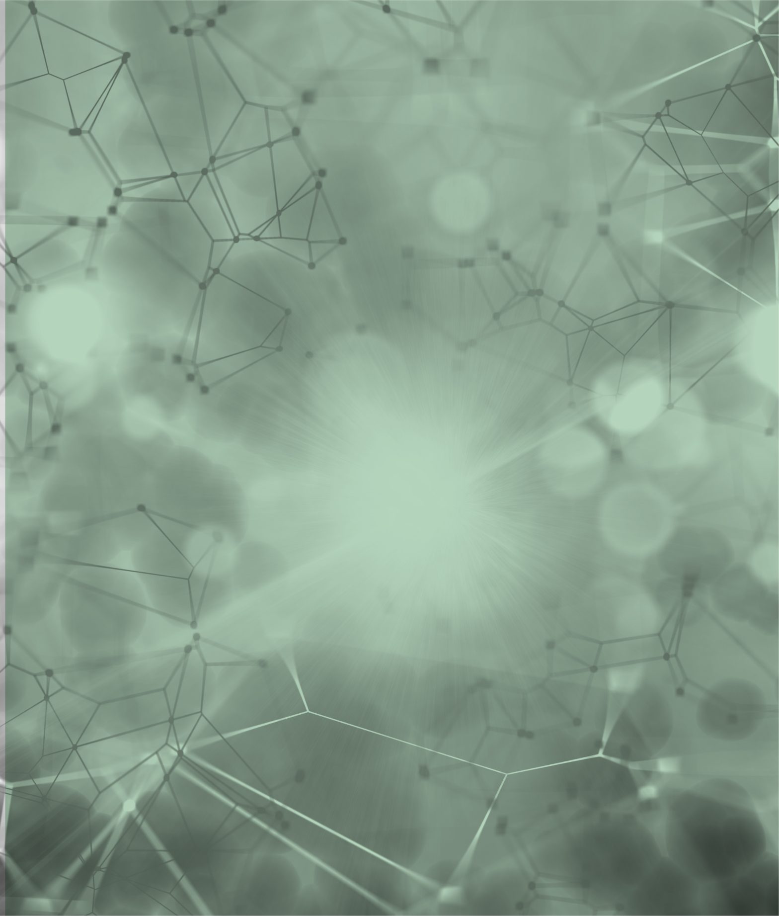 Publication 1