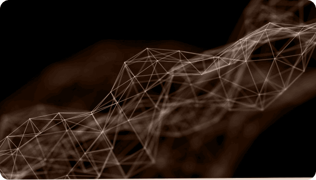 Data Localisation Requirements