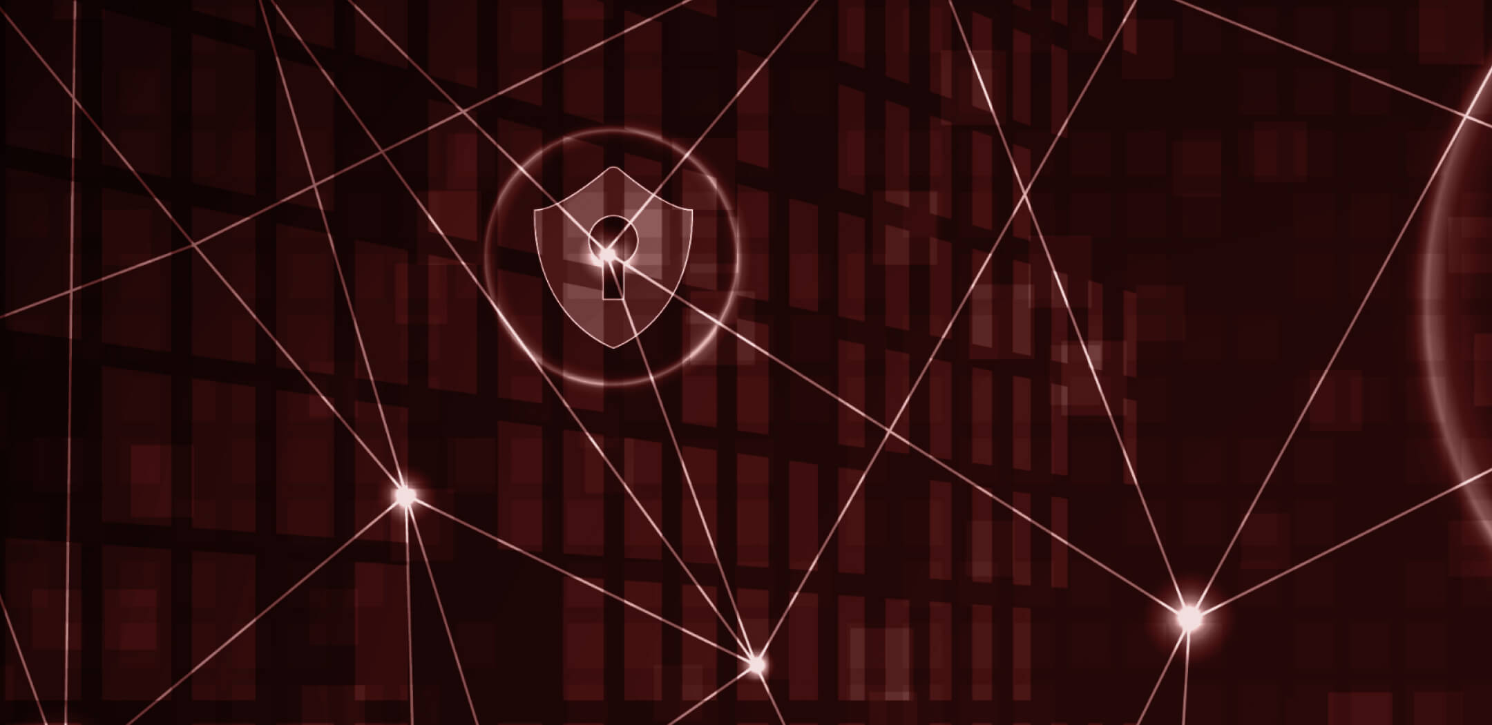 Privacy, Data Protection, and Cybersecurity